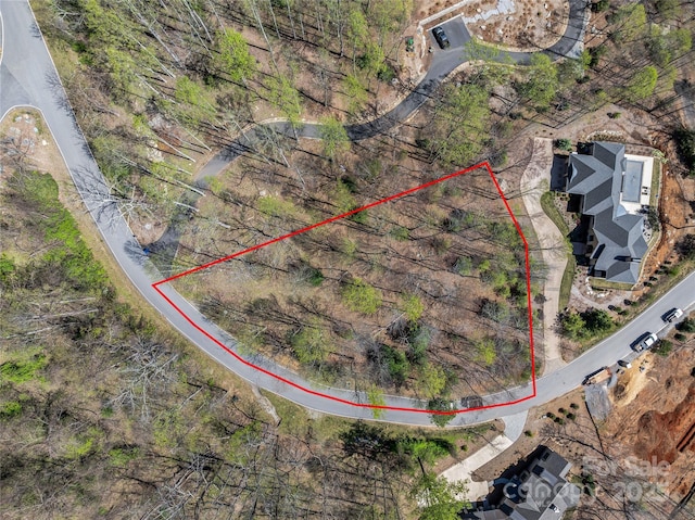 96 Split Rock Trl Unit 5, Arden, NC 28704 - photo 3