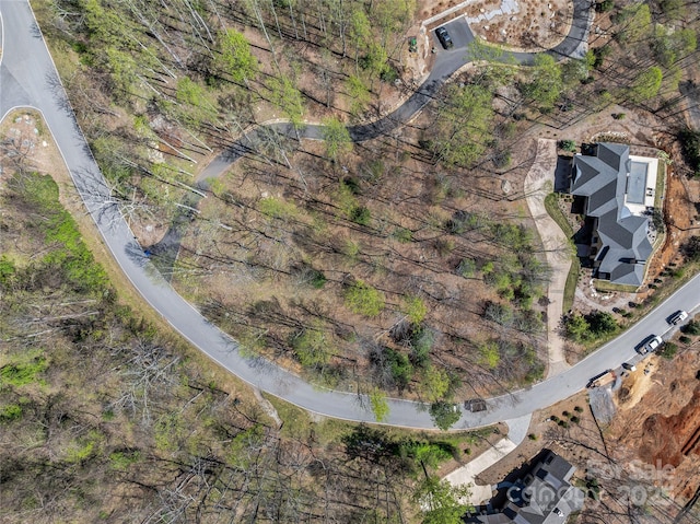 96 Split Rock Trl Unit 5, Arden, NC 28704 - photo 4