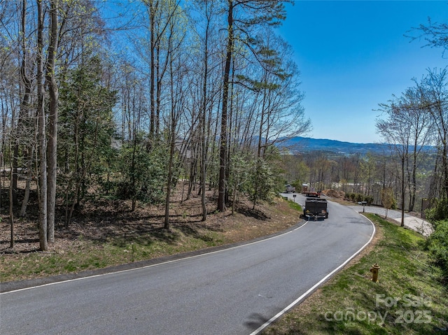 96 Split Rock Trl Unit 5, Arden, NC 28704 - photo 6