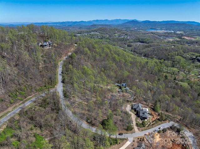 96 Split Rock Trl Unit 5, Arden, NC 28704 - photo 8