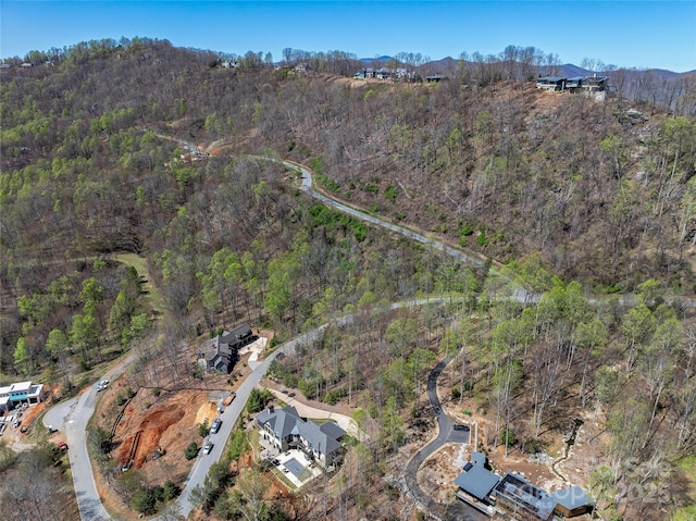 96 Split Rock Trl Unit 5, Arden, NC 28704 - photo 9