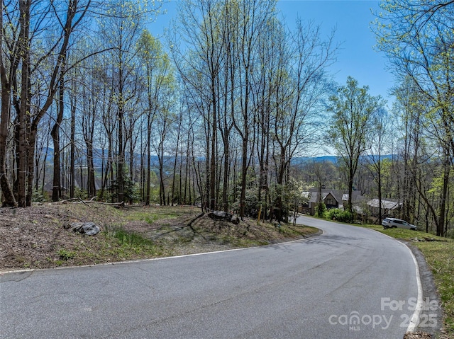 96 Split Rock Trl Unit 5, Arden, NC 28704 - photo 10