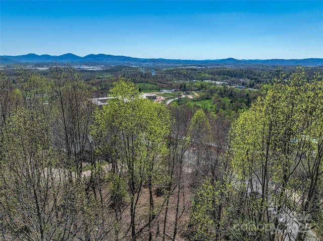 96 Split Rock Trl Unit 5, Arden, NC 28704 - photo 11