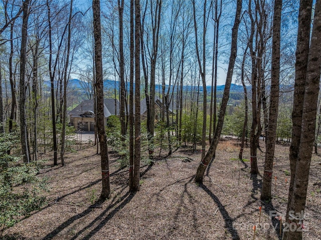 96 Split Rock Trl Unit 5, Arden, NC 28704 - photo 12