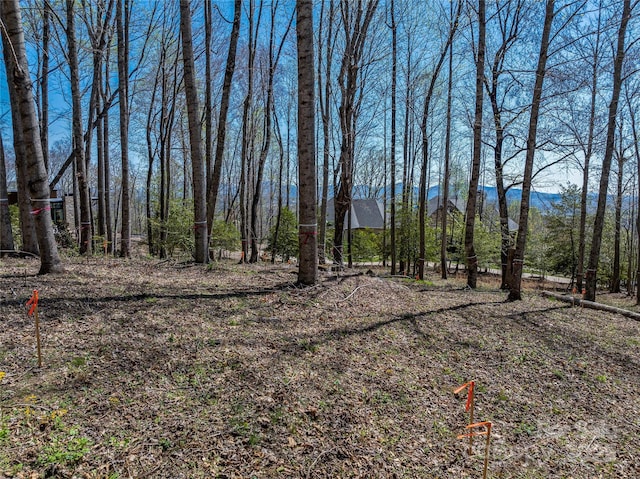 96 Split Rock Trl Unit 5, Arden, NC 28704 - photo 13