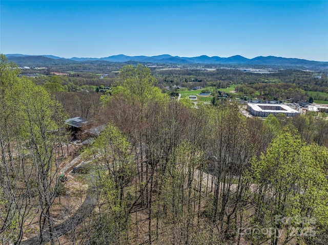 96 Split Rock Trl Unit 5, Arden, NC 28704 - photo 16