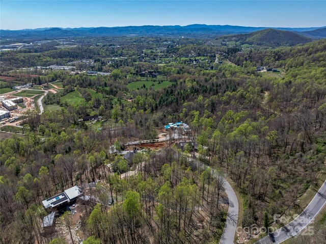 96 Split Rock Trl Unit 5, Arden, NC 28704 - photo 17