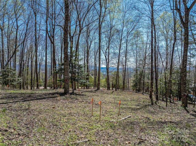 96 Split Rock Trl Unit 5, Arden, NC 28704 - photo 18