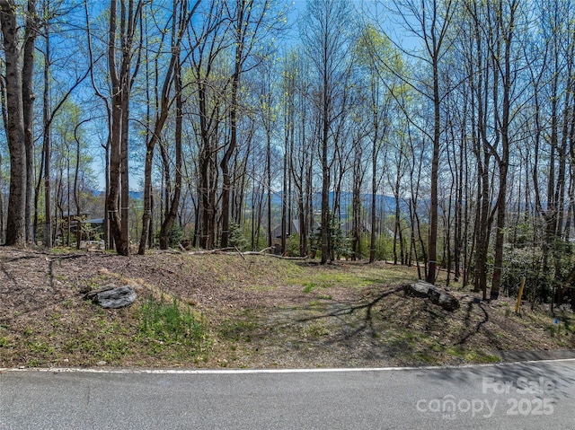 96 Split Rock Trl Unit 5, Arden, NC 28704 - photo 19