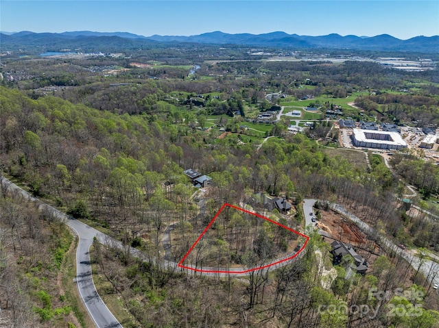 96 Split Rock Trl Unit 5, Arden, NC 28704 - photo 20