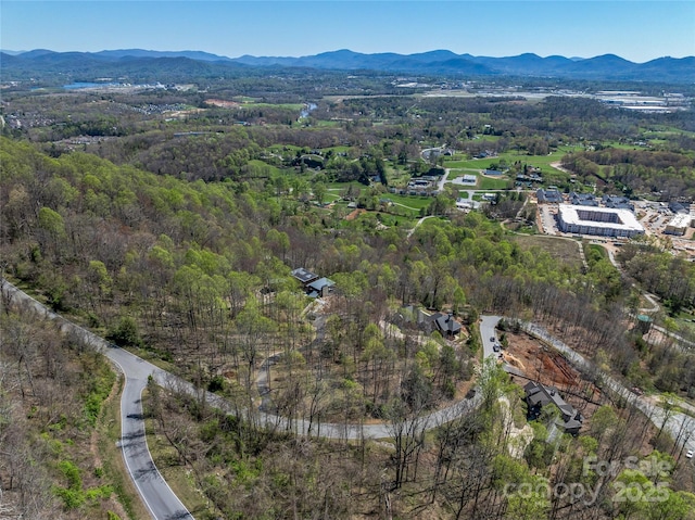 96 Split Rock Trl Unit 5, Arden, NC 28704 - photo 21