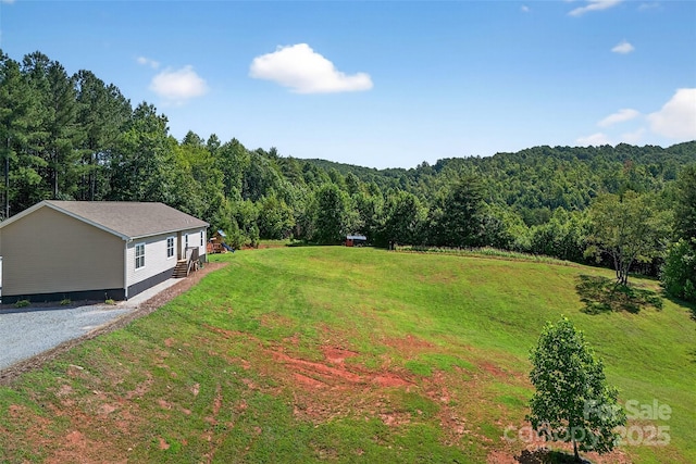 194 Love Dr, Marion, NC 28752 - photo 3
