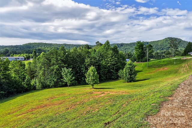 194 Love Dr, Marion, NC 28752 - photo 5