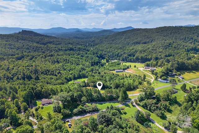 194 Love Dr, Marion, NC 28752 - photo 44
