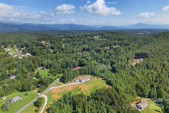 194 Love Dr, Marion, NC 28752 - photo 45