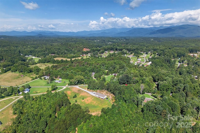 194 Love Dr, Marion, NC 28752 - photo 46