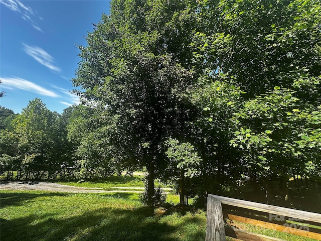584 Ebenezer Rd, Old Fort, NC 28762 - view of yard