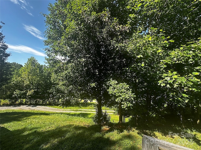 584 Ebenezer Rd, Old Fort, NC 28762 - view of yard