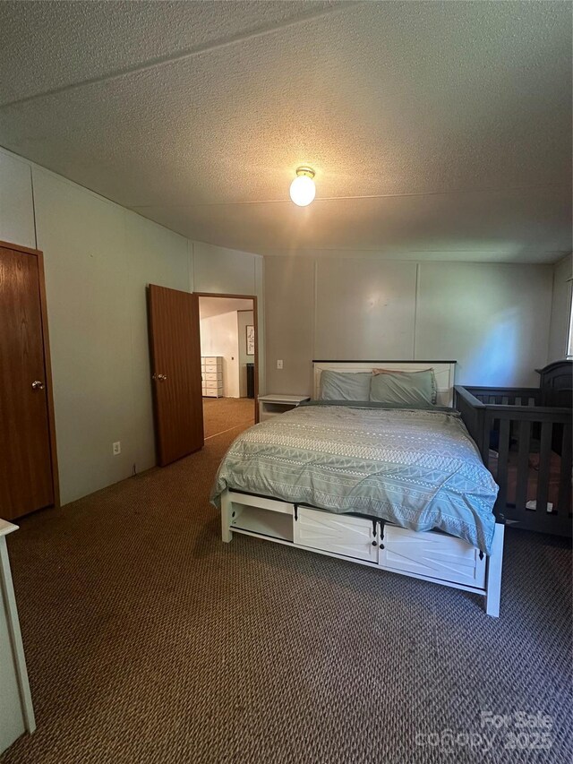 584 Ebenezer Rd, Old Fort, NC 28762 - bedroom with carpet and a textured ceiling