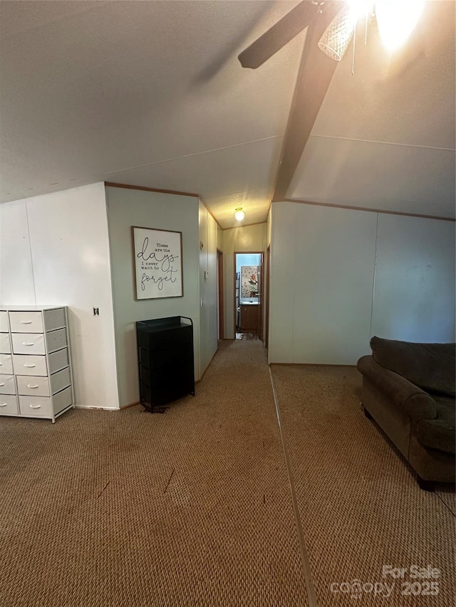 584 Ebenezer Rd, Old Fort, NC 28762 - hallway with carpet flooring