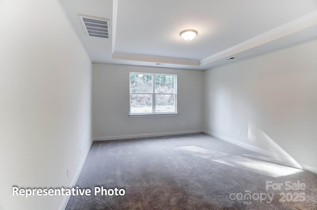 3238 Bozeman Ct Unit 07, Denver, NC 28164 - empty room featuring carpet and a tray ceiling