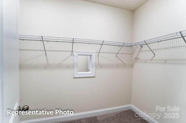 3238 Bozeman Ct Unit 07, Denver, NC 28164 - spacious closet featuring carpet floors