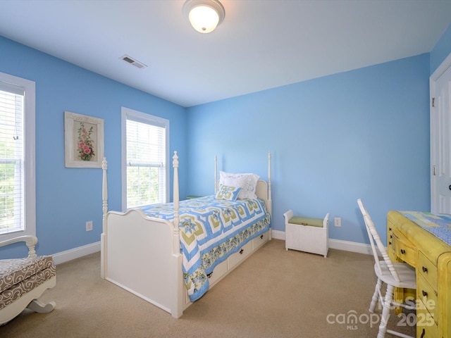 6205 Pumpernickel Ln, Wesley Chapel, NC 28110 - photo 31