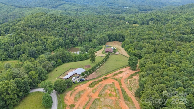6500 Duck Creek Rd, Lenoir, NC 28645 - photo 3