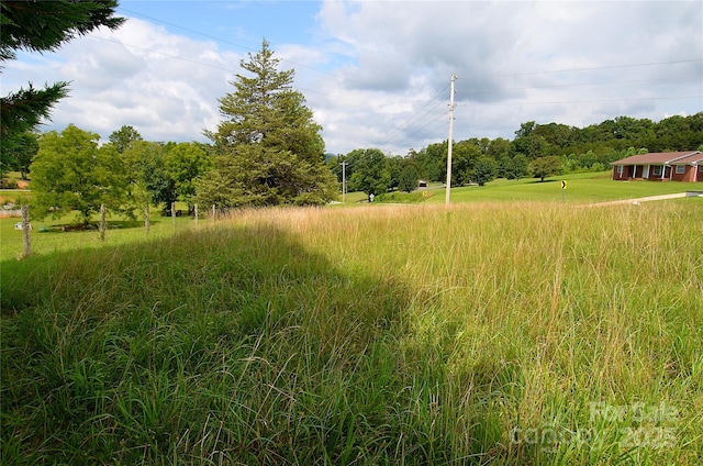 5799 Harmony Grove Rd, Nebo, NC 28761 - photo 4