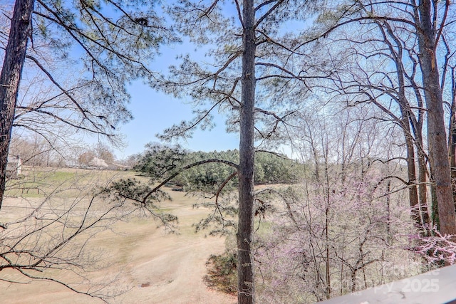 225 Sheepnose Dr, Lake Lure, NC 28746 - photo 45