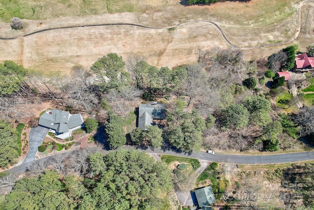 225 Sheepnose Dr, Lake Lure, NC 28746 - photo 48