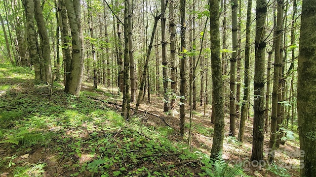 000 Eagle Bridge Rd, Burnsville, NC 28714 - photo 1