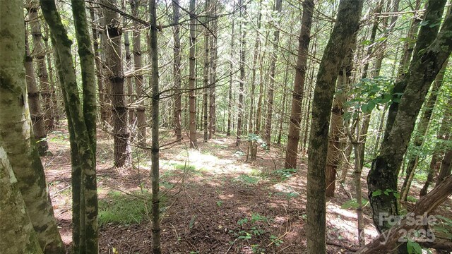 000 Eagle Bridge Rd, Burnsville, NC 28714 - photo 2