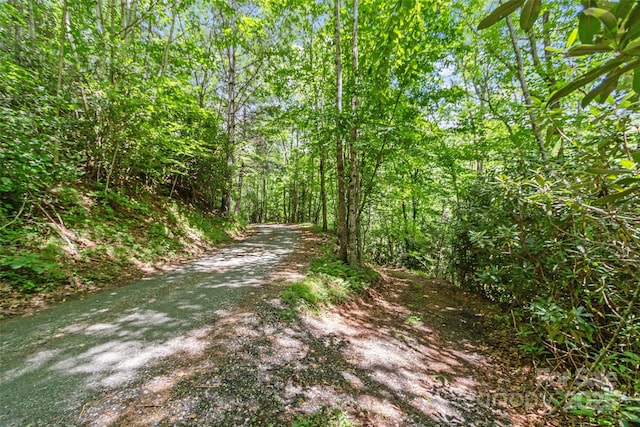 000 Eagle Bridge Rd, Burnsville, NC 28714 - photo 4