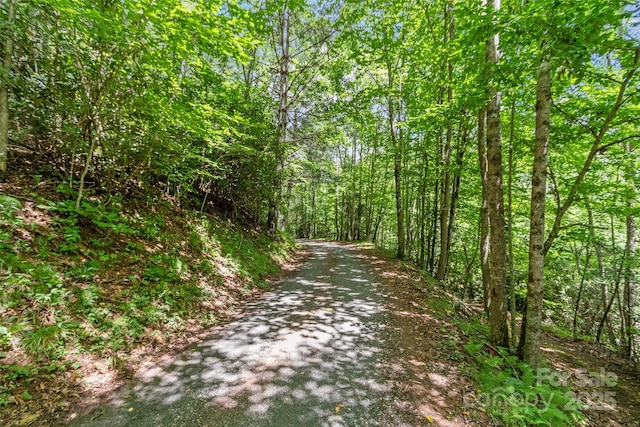 000 Eagle Bridge Rd, Burnsville, NC 28714 - photo 5