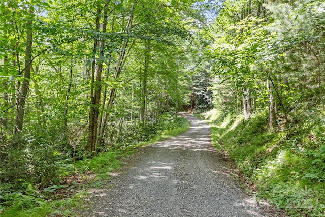 000 Eagle Bridge Rd, Burnsville, NC 28714 - photo 6