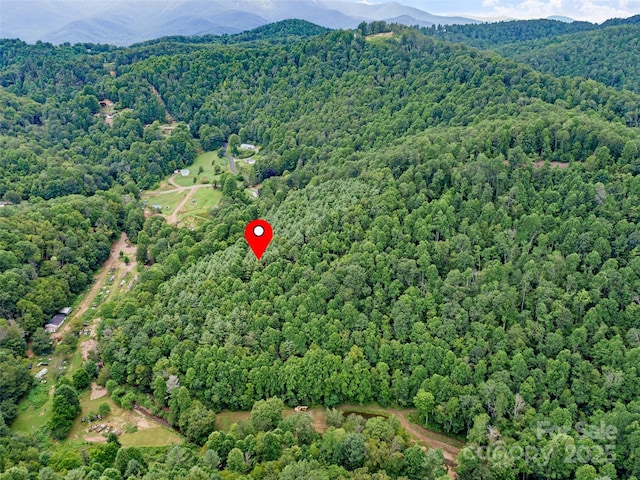 000 Eagle Bridge Rd, Burnsville, NC 28714 - photo 8