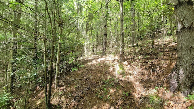 000 Eagle Bridge Rd, Burnsville, NC 28714 - photo 11