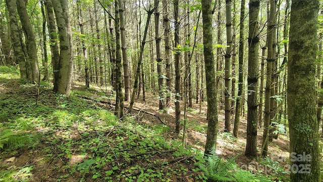 000 Eagle Bridge Rd, Burnsville, NC 28714 - photo 12