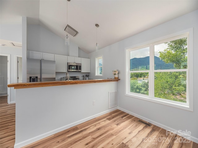 164 Carsen Loop, Waynesville, NC 28785 - photo 5
