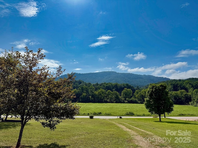 2189 Cane Creek Rd, Rutherfordton, NC 28139 - photo 26