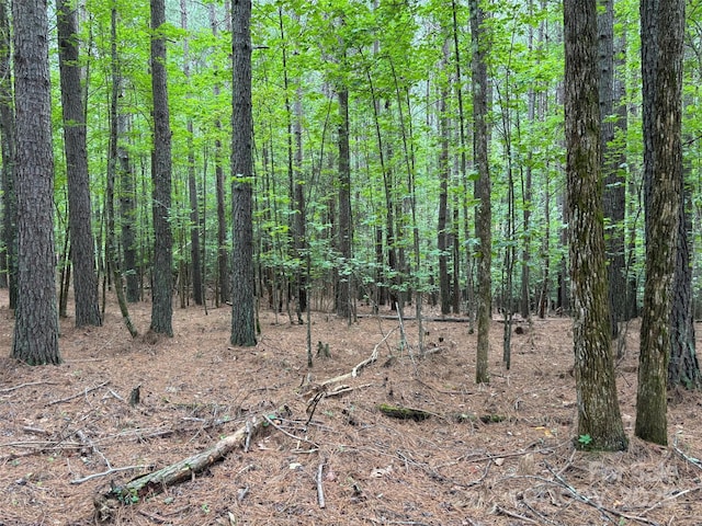 2651 E Paradise Harbor Dr, Connelly Springs, NC 28612