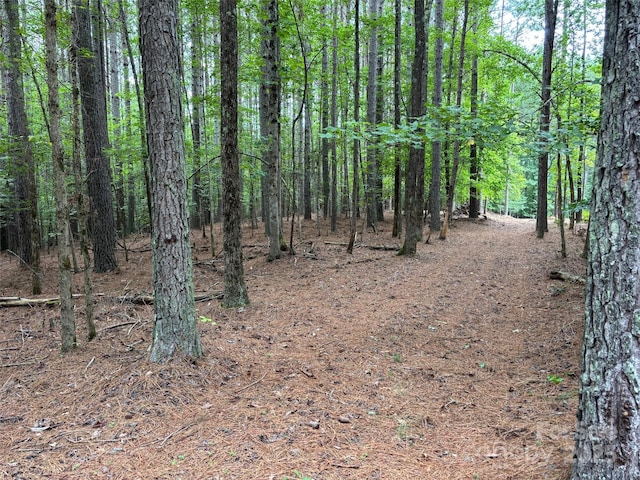2651 E Paradise Harbor Dr, Connelly Springs, NC 28612