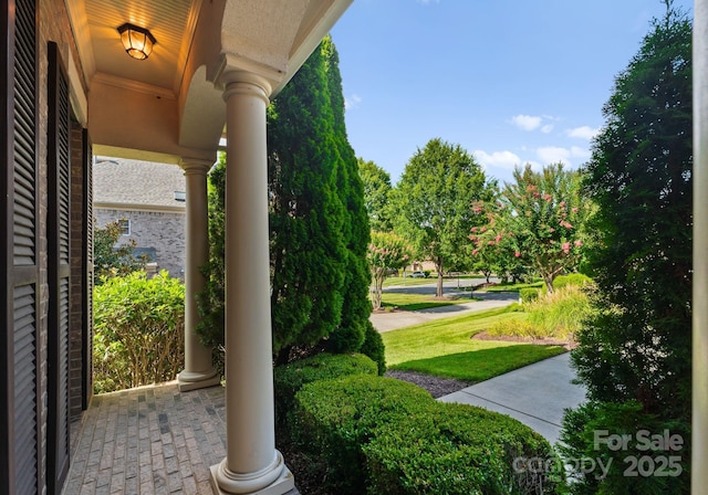 202 Montrose Dr, Waxhaw, NC 28173 - view of property's community