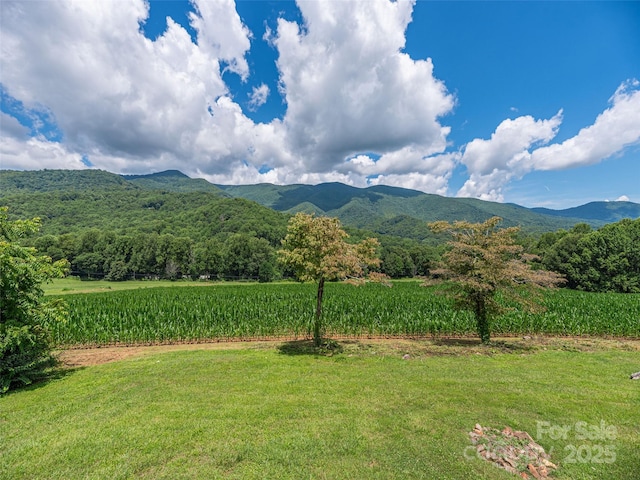 250 Sams Trl, Waynesville, NC 28786 - photo 6
