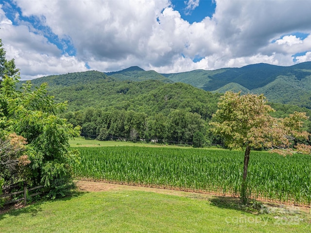 250 Sams Trl, Waynesville, NC 28786 - photo 7