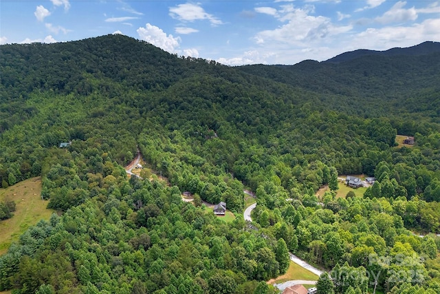 62 Ashe Bridge Rd N, Marion, NC 28752 - photo 30
