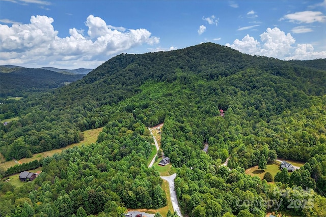 62 Ashe Bridge Rd N, Marion, NC 28752 - photo 31
