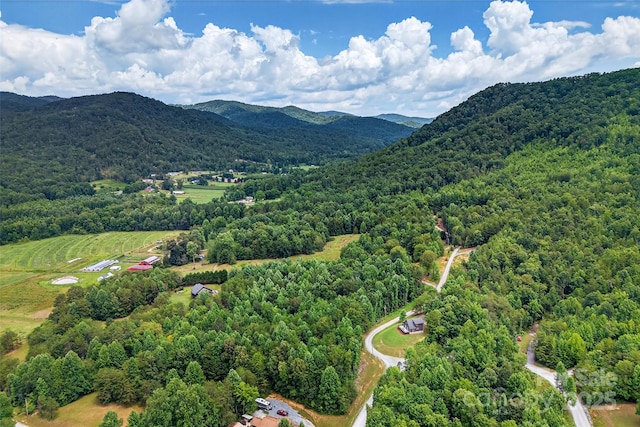 62 Ashe Bridge Rd N, Marion, NC 28752 - photo 32