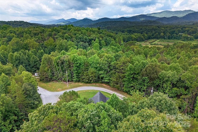 62 Ashe Bridge Rd N, Marion, NC 28752 - photo 33